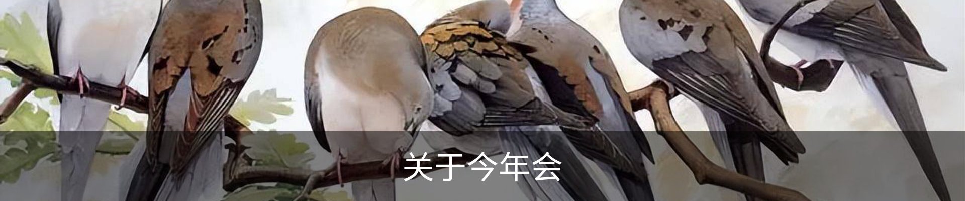 关于今年会